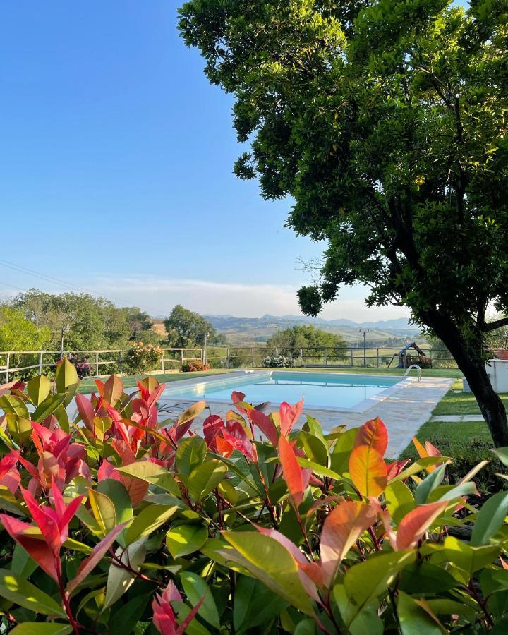 Montenovo Country House Ostra Vetere Exterior photo